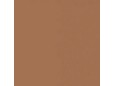 RAL8025