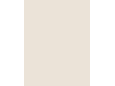 RAL 9001