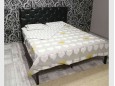 Металлическая кровать Канна 19
