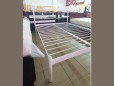 Металлическая кровать Бегония 17