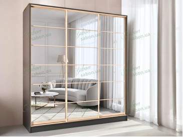 Шафа-купе Стандарт 7.1 тридверна H-210 2