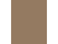 RAL1019
