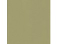 RAL1020