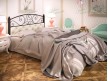 Металлическая кровать Астра 10