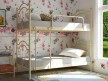 Металеве двоярусне ліжко Діана 2