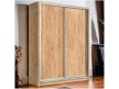 Шкаф-купе Стандарт 9 двухдверный Н-240 12