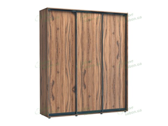 Шкаф-купе Стандарт 9 трехдверный Н-210 10 