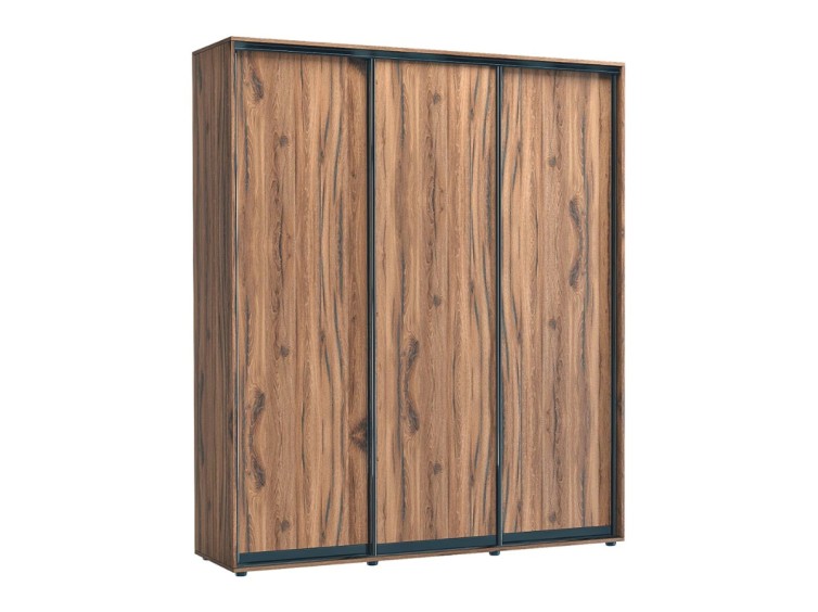 Шкаф-купе Стандарт 9 трехдверный Н-210 10 