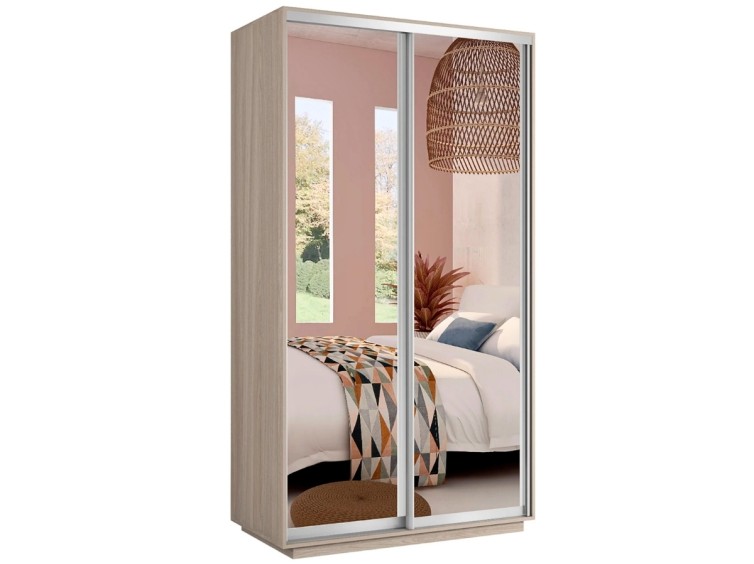 Шкаф-купе Стандарт 10.1 двухдверный H-210 2 