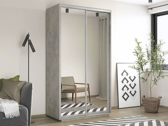 Шкаф-купе Стандарт 10.1 двухдверный H-220 2