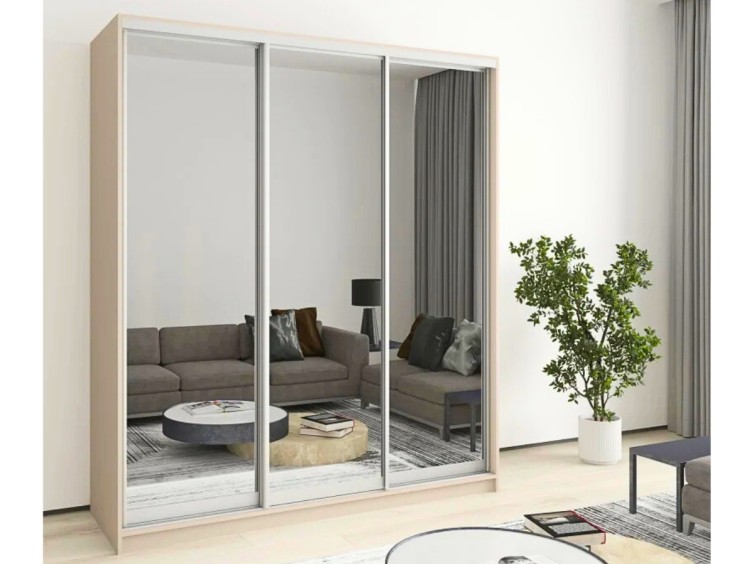 Шкаф-купе Стандарт 10.1 трехдверный H-210 7 