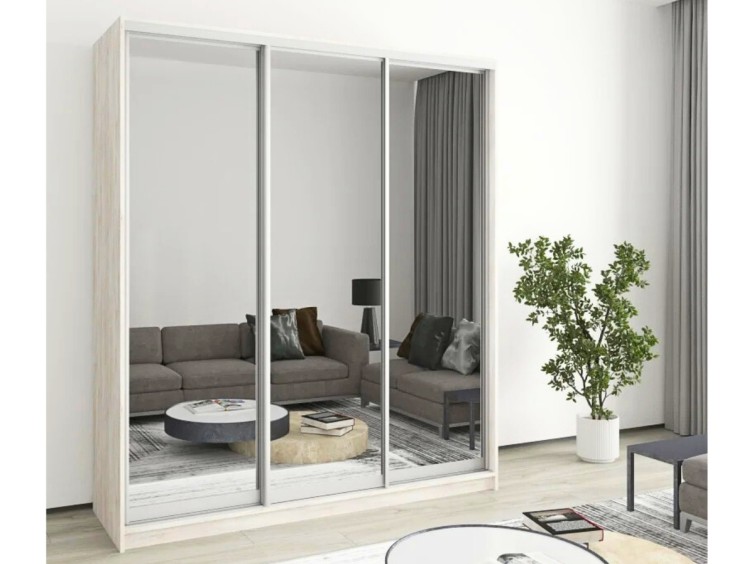 Шафа-купе Стандарт 10.1 тридверна H-220 6 