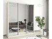 Шафа-купе Стандарт 10.1 тридверна H-240 14