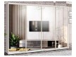 Шкаф-купе Стандарт 10.1 четырехдверный H-220 2