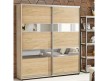 Шкаф-купе Стандарт 25.1 двухдверный H-220 14
