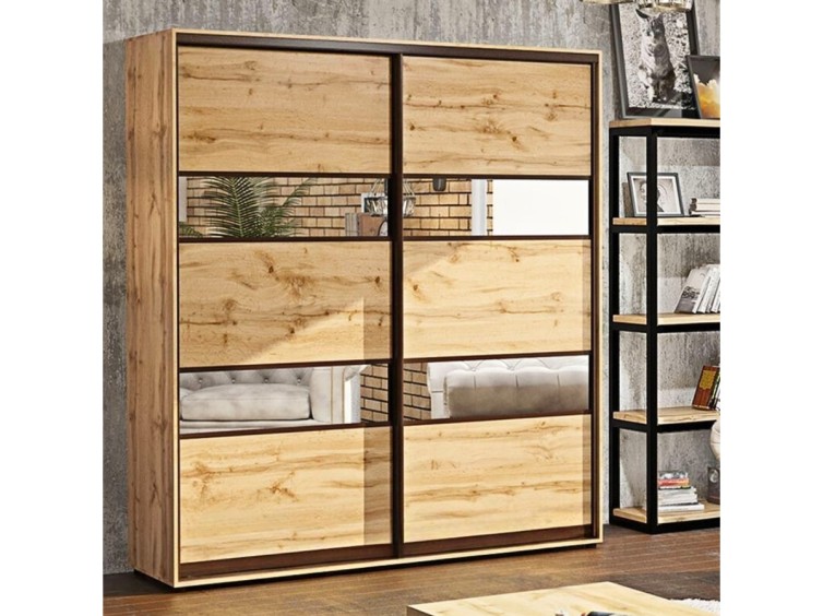 Шкаф-купе Стандарт 25.1 двухдверный H-220 5 