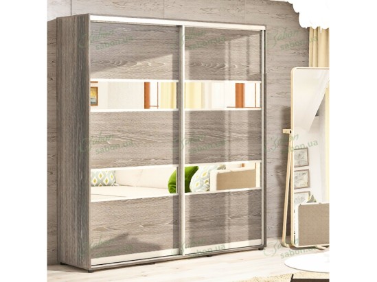Шкаф-купе Стандарт 25.1 двухдверный H-220 6 