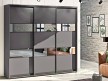 Шкаф-купе Стандарт 25.1 трехдверный H-240 12