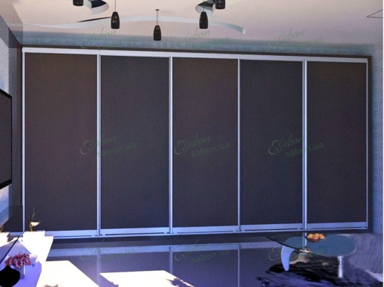 Шкаф-купе Стандарт 9 пятидверный H-210 1