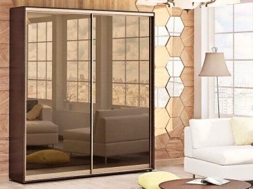 Шкаф-купе Стандарт 10.5 двухдверный H-210