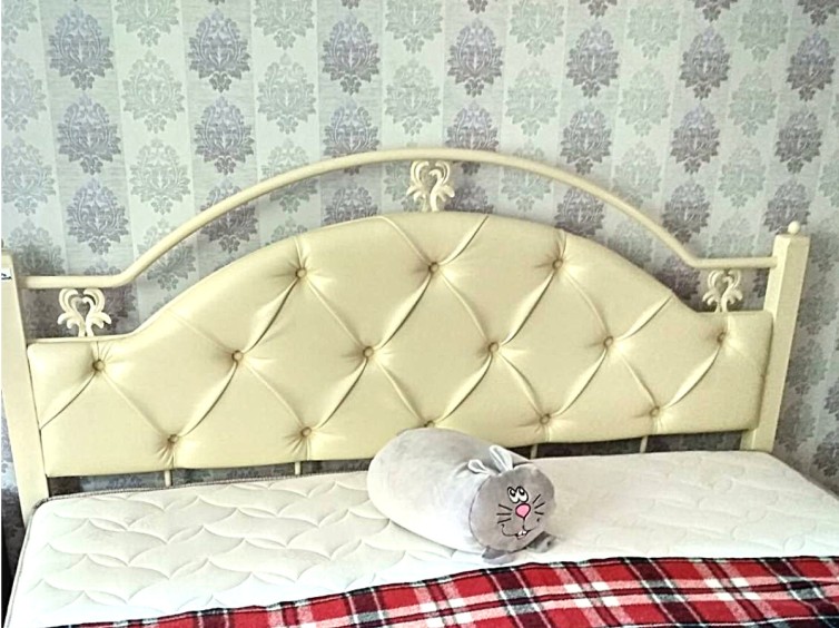 Металлическая кровать Эсмеральда Люкс 12 