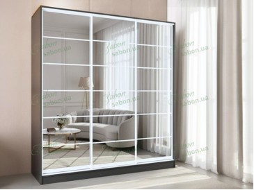 Шафа-купе Стандарт 7.1 тридверна H-210 2