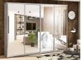 Шкаф-купе Стандарт 10.1 четырехдверный H-210 16