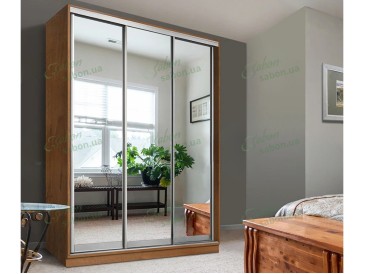 Шафа-купе Стандарт 10.1 тридверна H-210